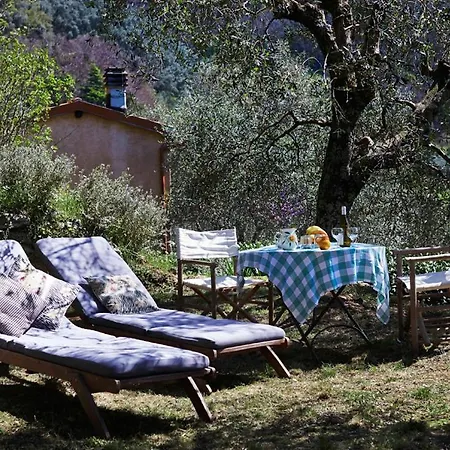 Peralta Villa Camaiore Exterior photo