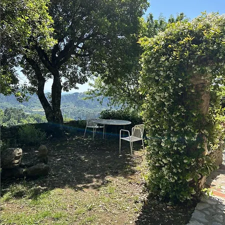 Peralta Villa Camaiore Room photo