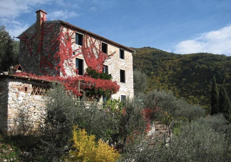Peralta Camaiore