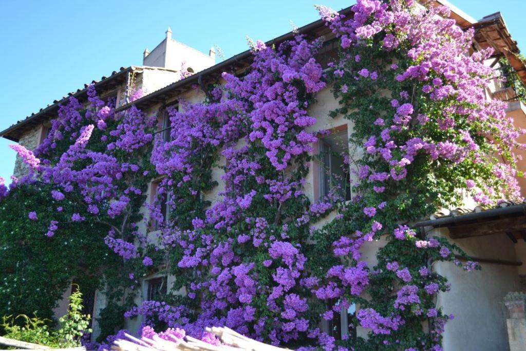 Holiday home Peralta Camaiore
