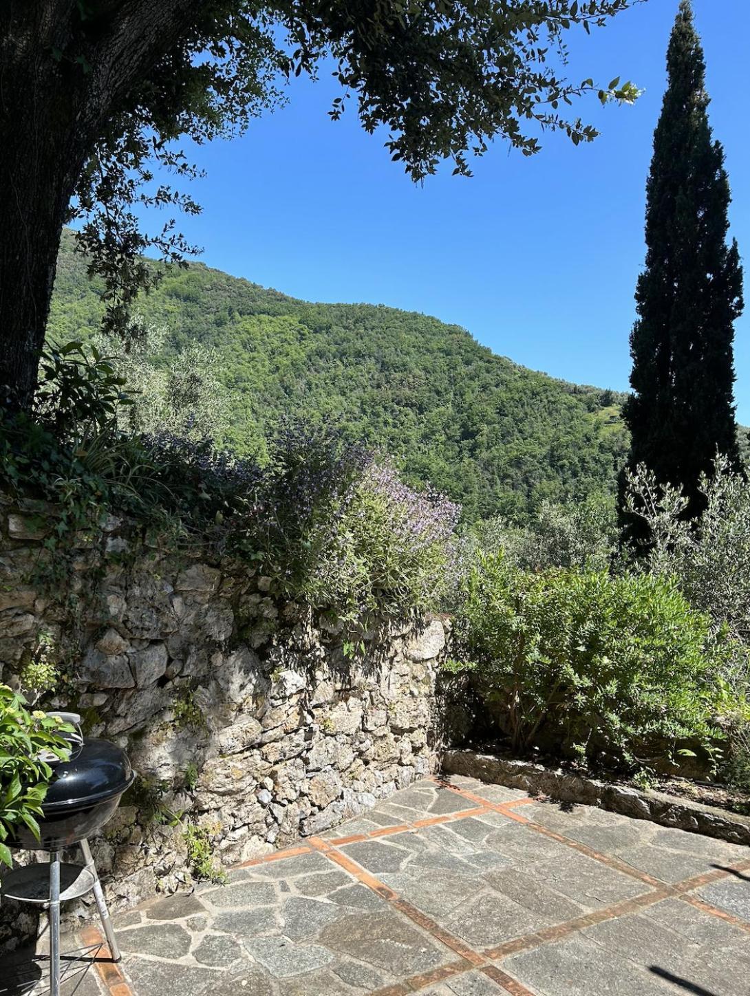 Peralta * Camaiore